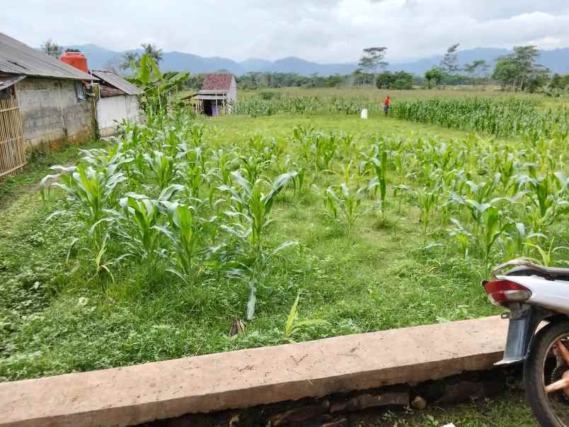 jual tanah kebun sawah