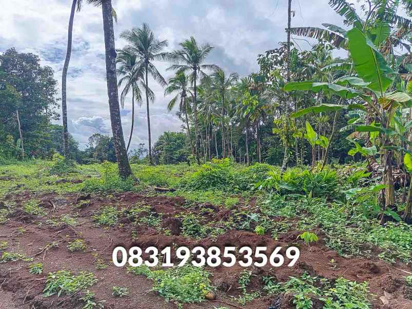 jual tanah murah pandeglang banten