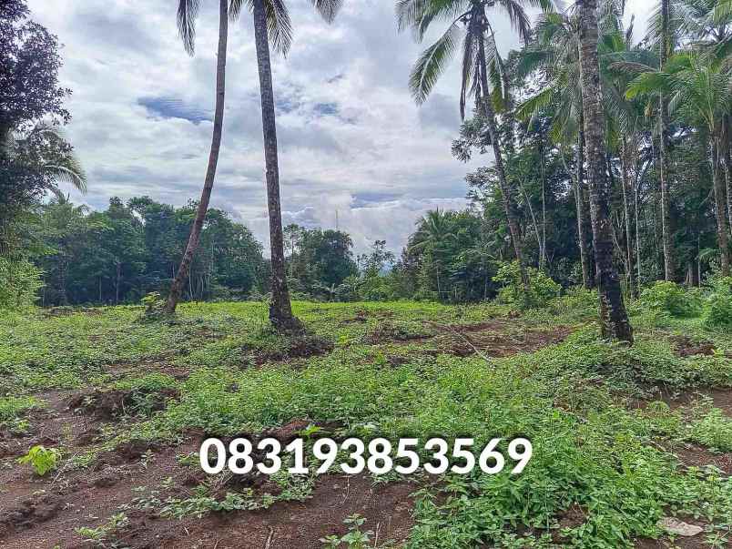 jual tanah murah pandeglang banten