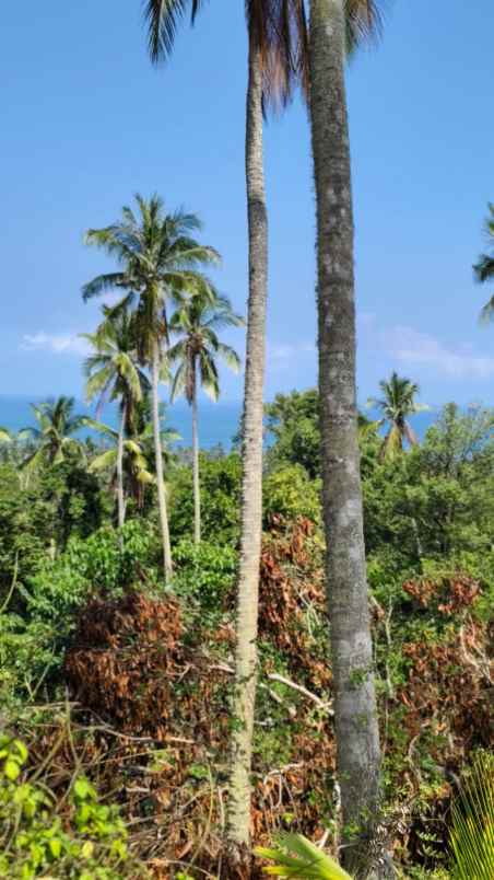 jual tanah murah view laut di kawasan pantai balian