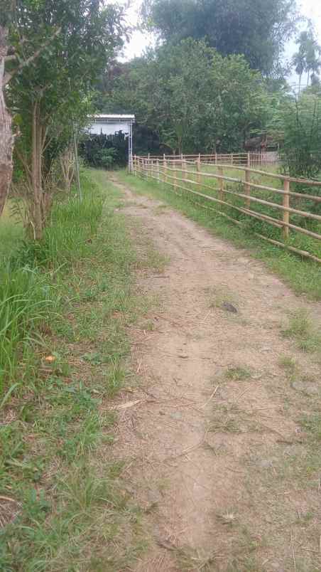 jual tanah samping pesantren