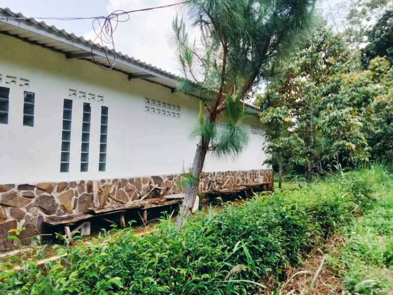 jual villa dan kebun durian
