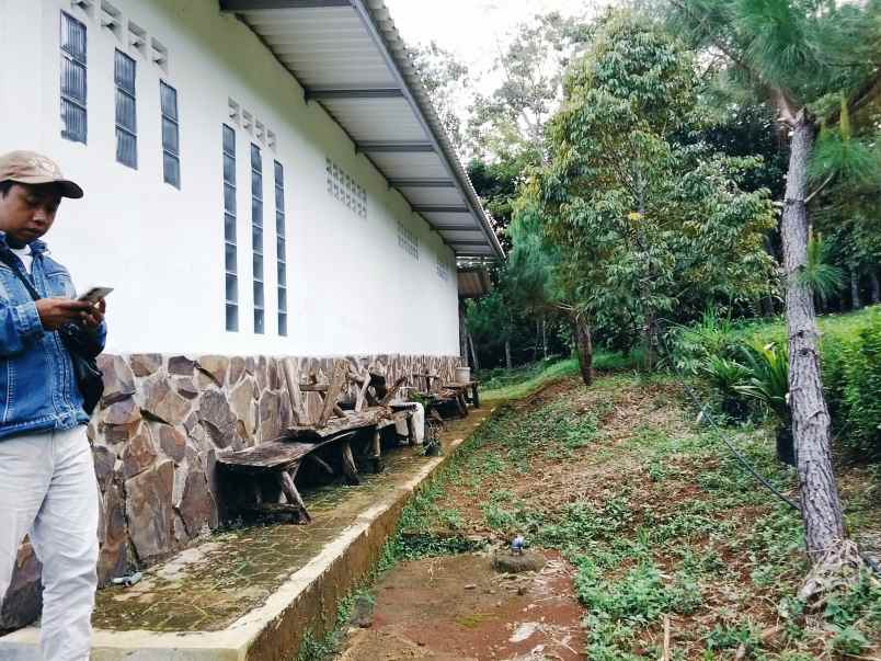 jual villa dan kebun durian