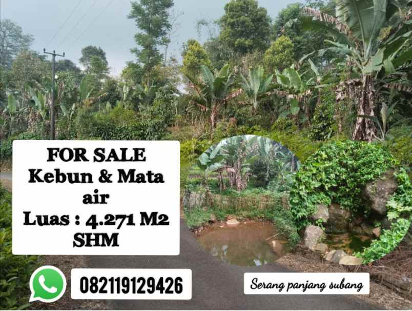 kebun mata air serang panjang subang jawa barat