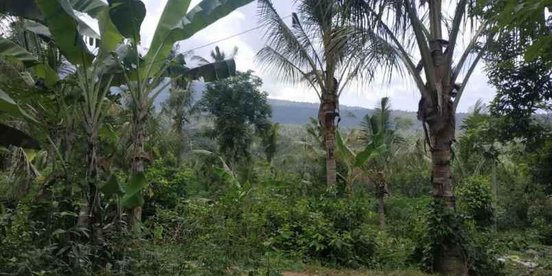 land for sale in karangasem east of bali