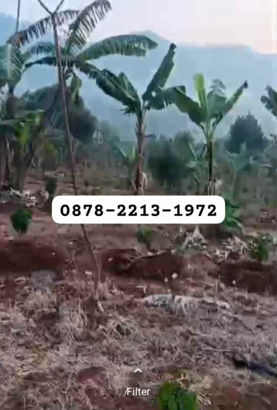 murah tanah zona perumahan dekat ke kota baru walini