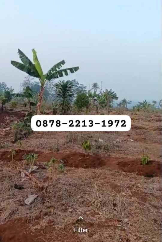 murah tanah zona perumahan dekat ke kota baru walini