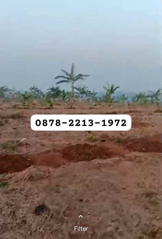 murah tanah zona perumahan dekat ke kota baru walini