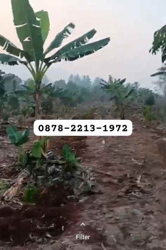 murah tanah zona perumahan dekat ke kota baru walini