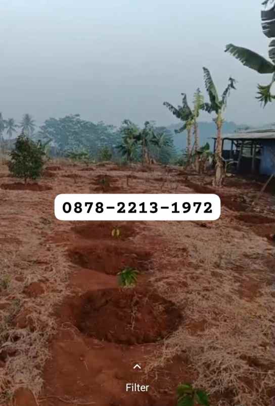 murah tanah zona perumahan dekat ke kota baru walini