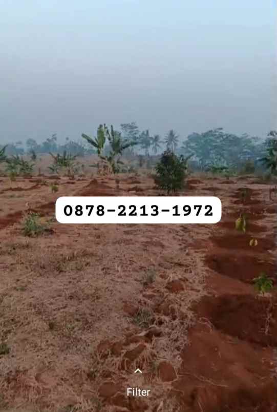 murah tanah zona perumahan dekat ke kota baru walini