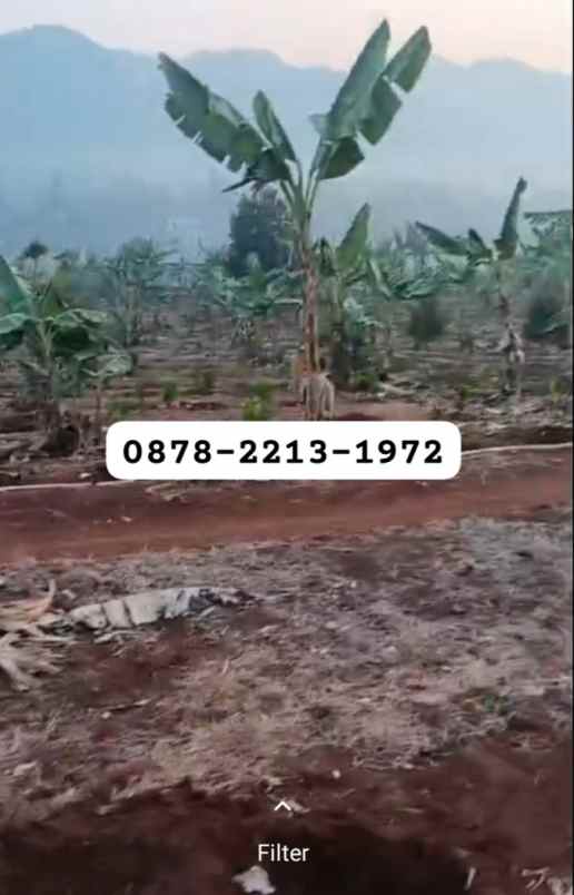 murah tanah zona perumahan dekat ke kota baru walini