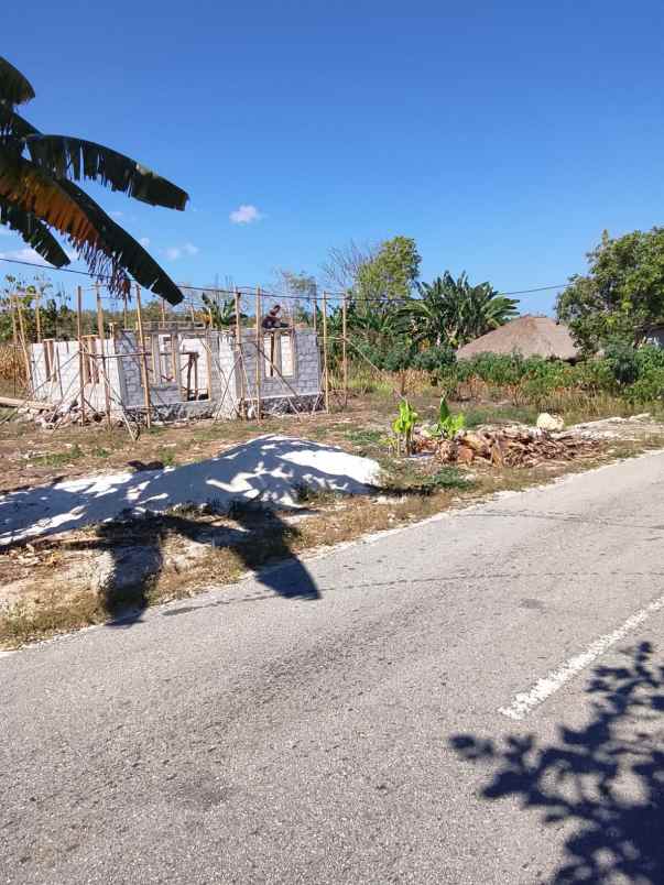 peluang investasi eksklusif di sumba barat daya ntt