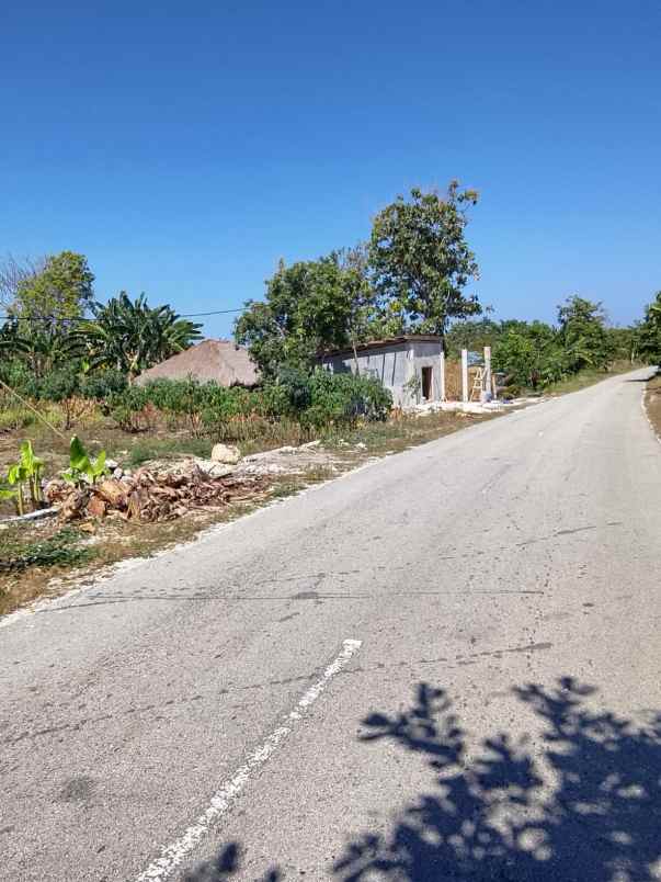 peluang investasi eksklusif di sumba barat daya ntt
