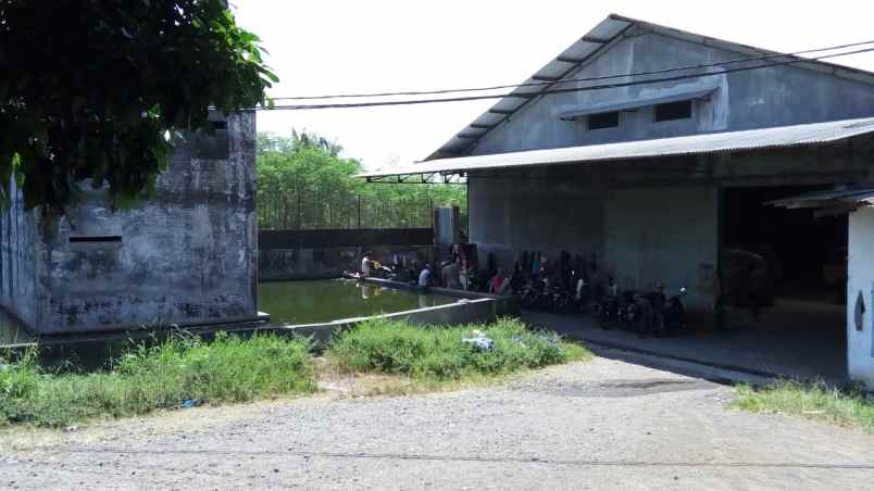 ruko gudang kantor taman