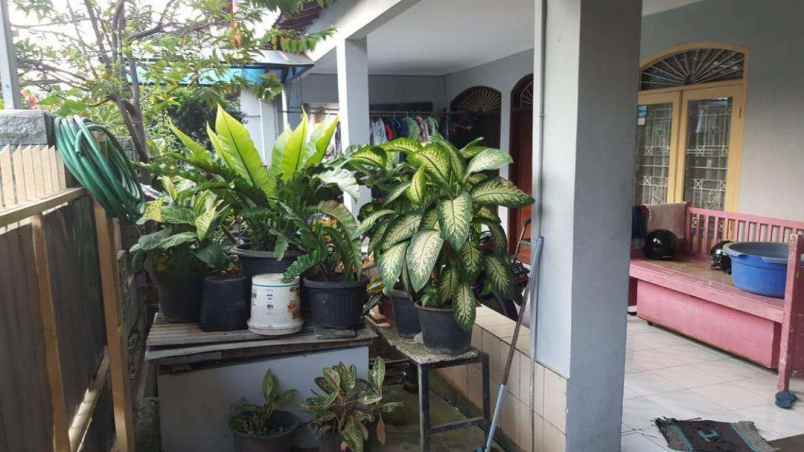 rumah duren tiga raya