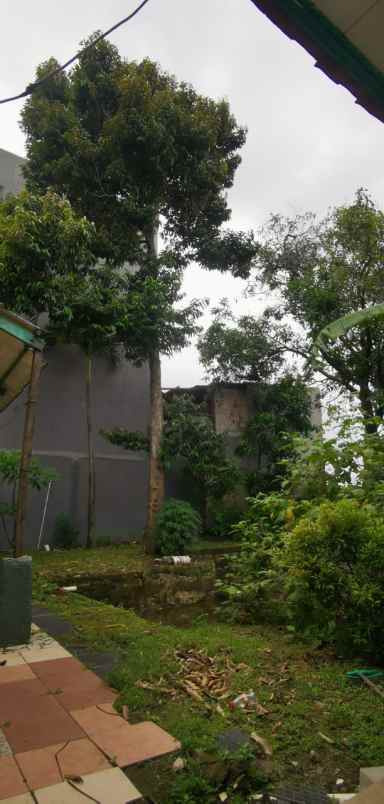 rumah jl raya duri kosambi