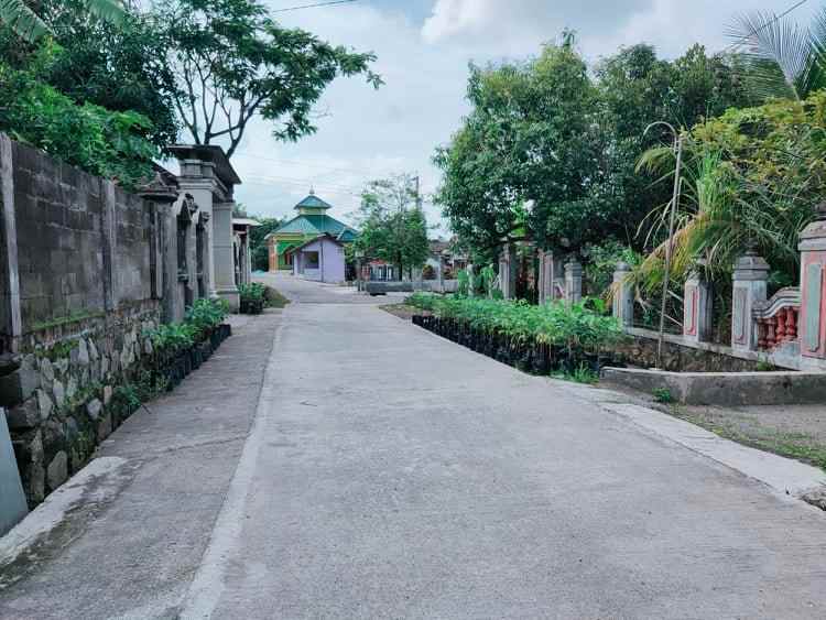 rumah suroboyo jirapan masaran