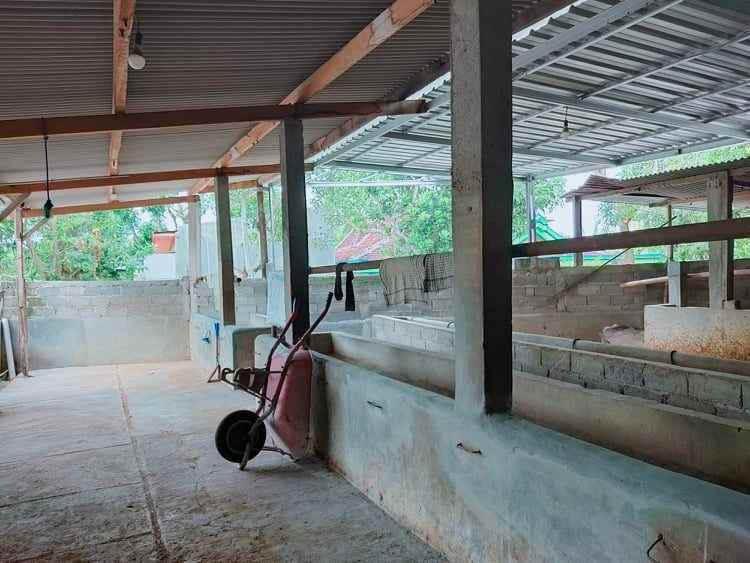 rumah suroboyo jirapan masaran