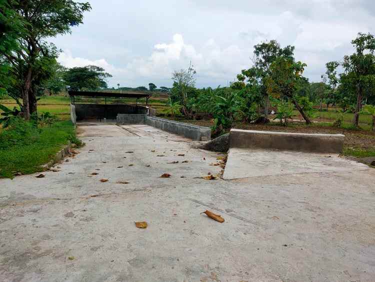 rumah suroboyo jirapan masaran