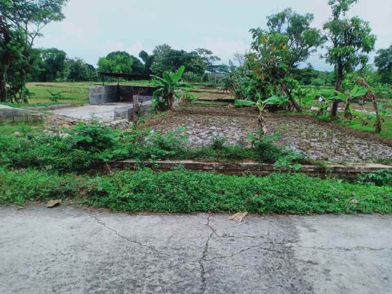 rumah suroboyo jirapan masaran