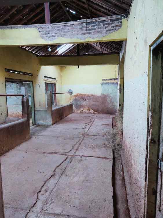 rumah suroboyo jirapan masaran