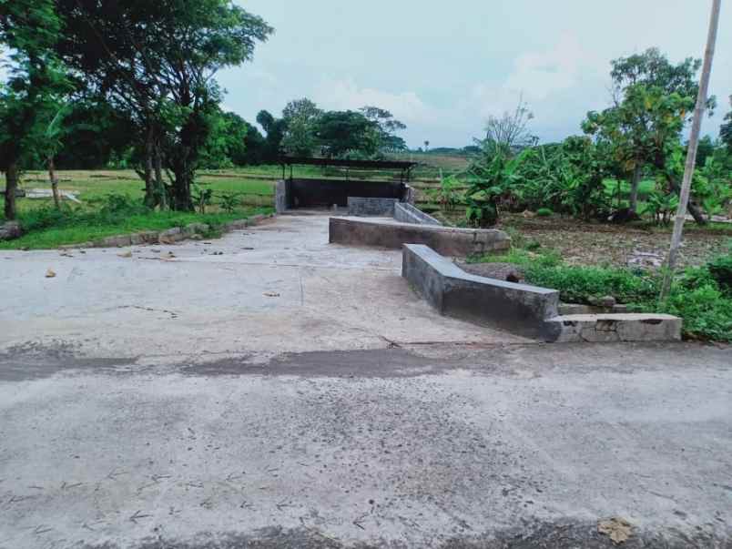 rumah suroboyo jirapan masaran