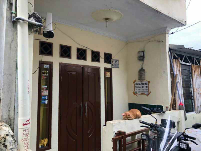 rumah tebet bebas banjir