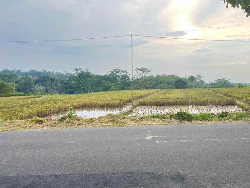 sawah super strategis tepi jalan raya mojogedang