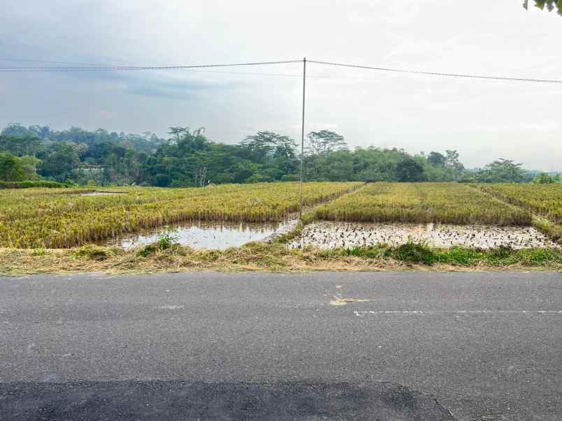 sawah super strategis tepi jalan raya mojogedang