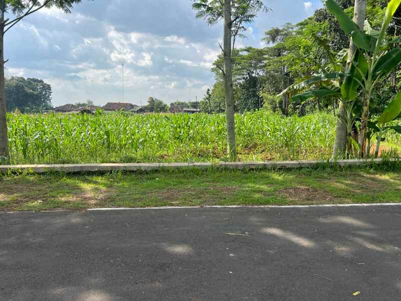 tanah 1100m udara sejuk karanganyar