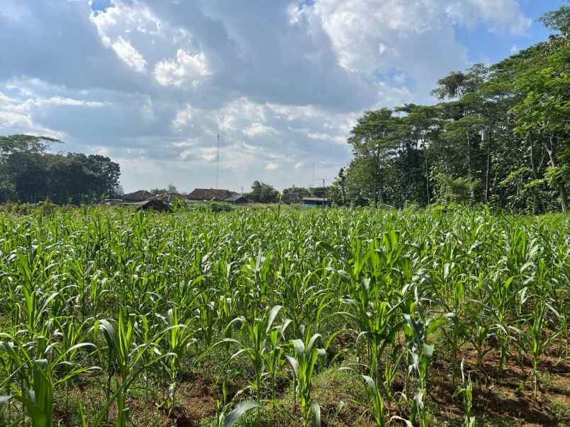 tanah 1100m udara sejuk karanganyar