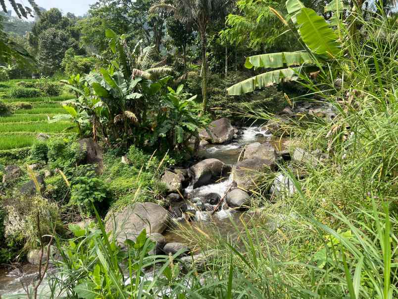 tanah 355 juta dekat aliran sungai karanganyar