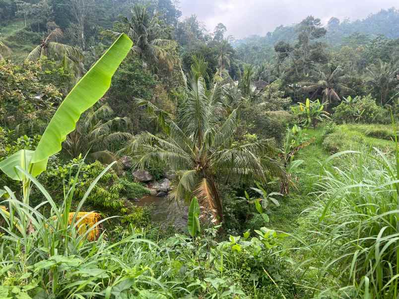 tanah 355 juta dekat aliran sungai karanganyar