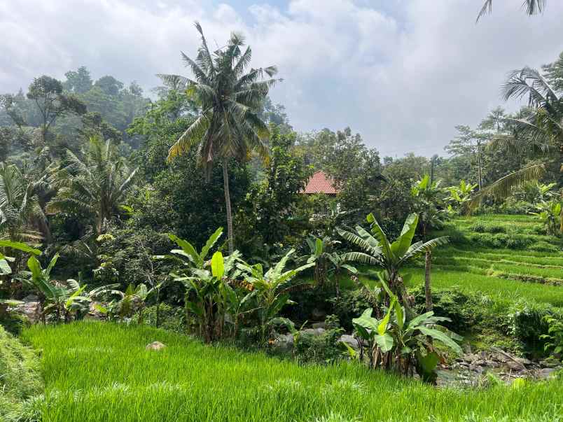 tanah 355 juta dekat aliran sungai karanganyar