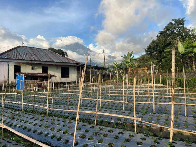 tanah 369m strategis kota wisata tawangmangu