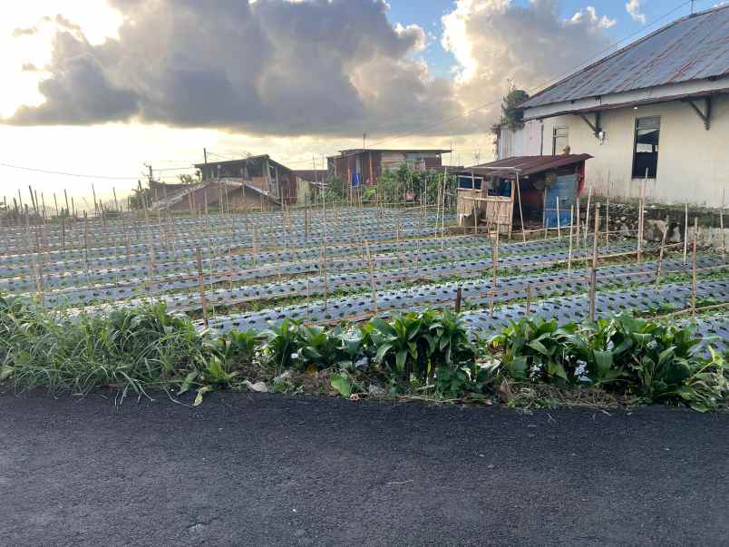 tanah 369m strategis kota wisata tawangmangu