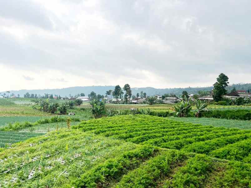 tanah 442m strategis kawasan villa kemuning