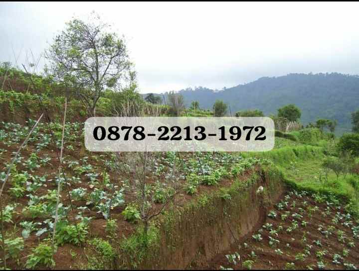 tanah bagus resort dekat ke kawasan wisata lembang