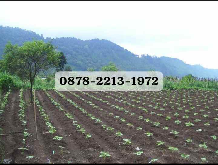 tanah bagus resort dekat ke kawasan wisata lembang