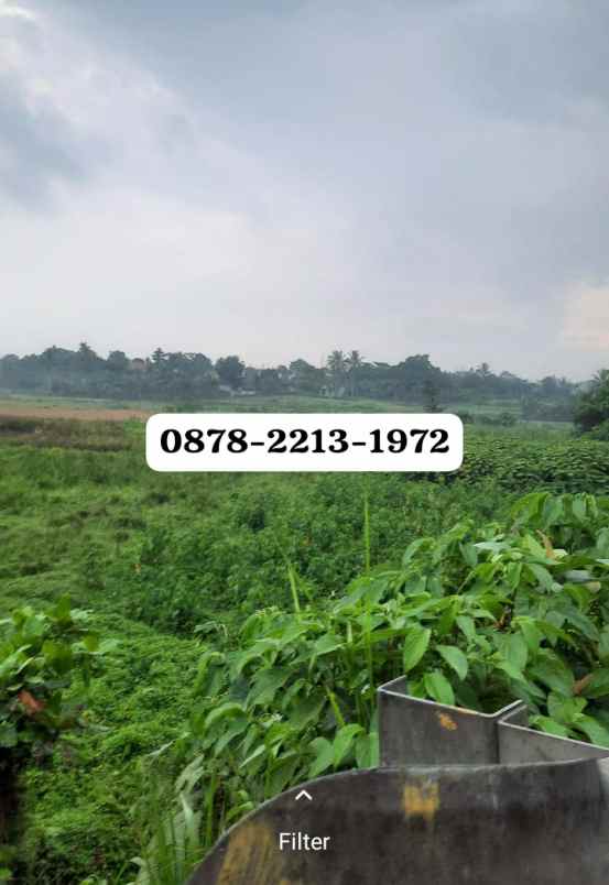 tanah bagus untuk apartmen di tigaraksa