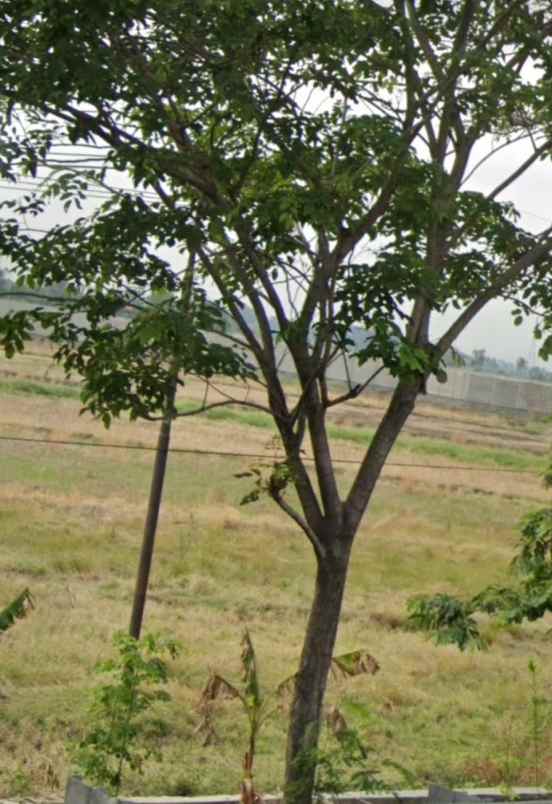 tanah d jual setrategis murah