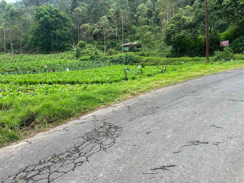 tanah datar 825m tawangmangu karanganyar