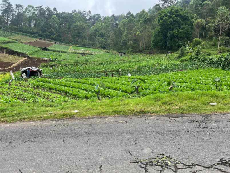 tanah datar 825m tawangmangu karanganyar