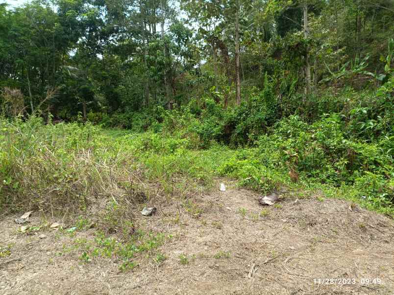 tanah di kemiling luas 1900m shm