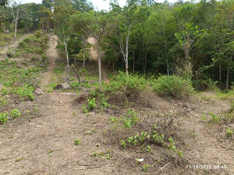 tanah di kemiling luas 1900m shm