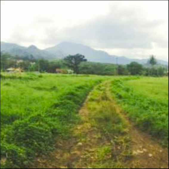 tanah jl raya cigudeg bogor