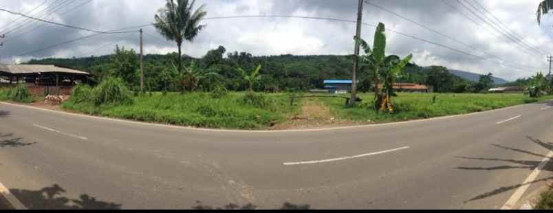 tanah jl raya cigudeg bogor