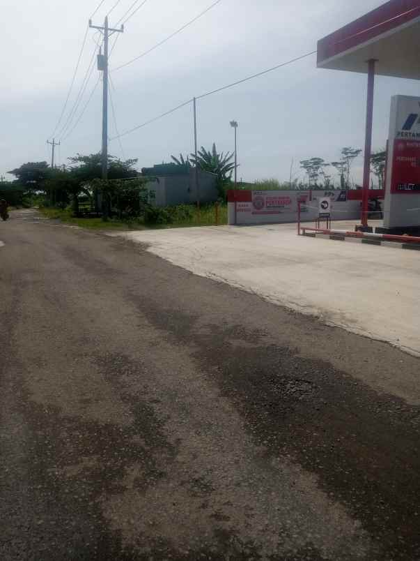 tanah jl sumberharjo pemalang ds