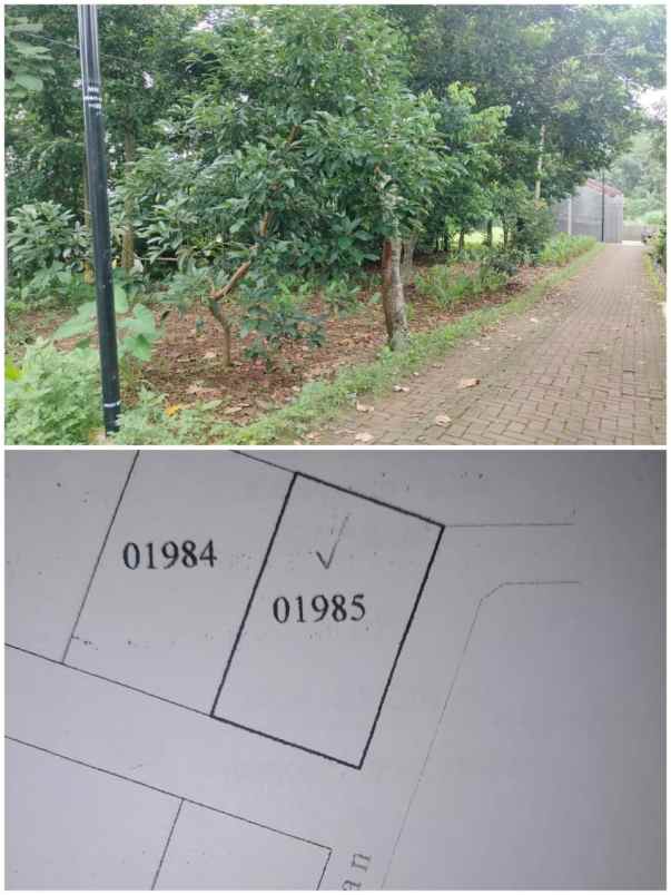 tanah kavling murah kuripan mijen semarang